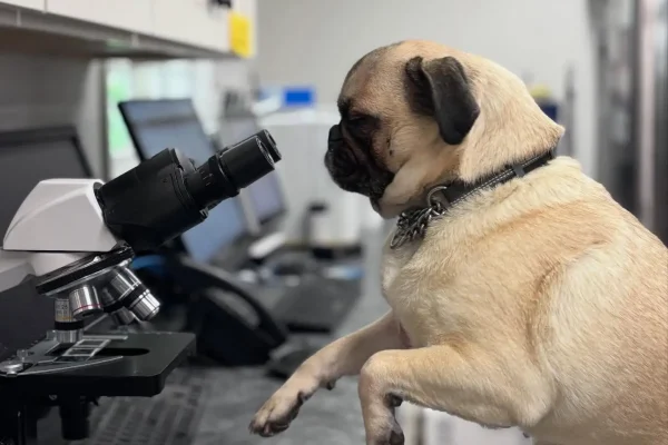 497333278_18379539994188077_1984194223265746810_n