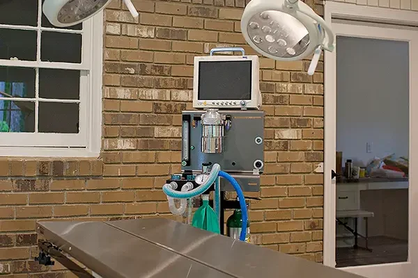 5cc21caea08d29165e37d2c9_ecvc_surgery