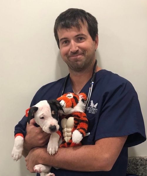 Dr Rob with dog